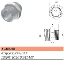1-AD-38.webp